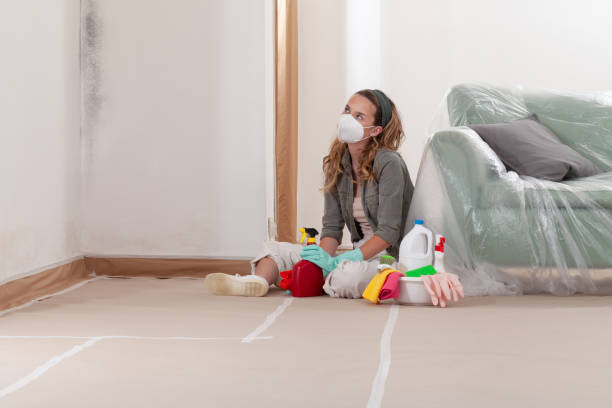 Reliable Basement Mold Remediation contractor in Hudson, MI by Car Mold Remediation